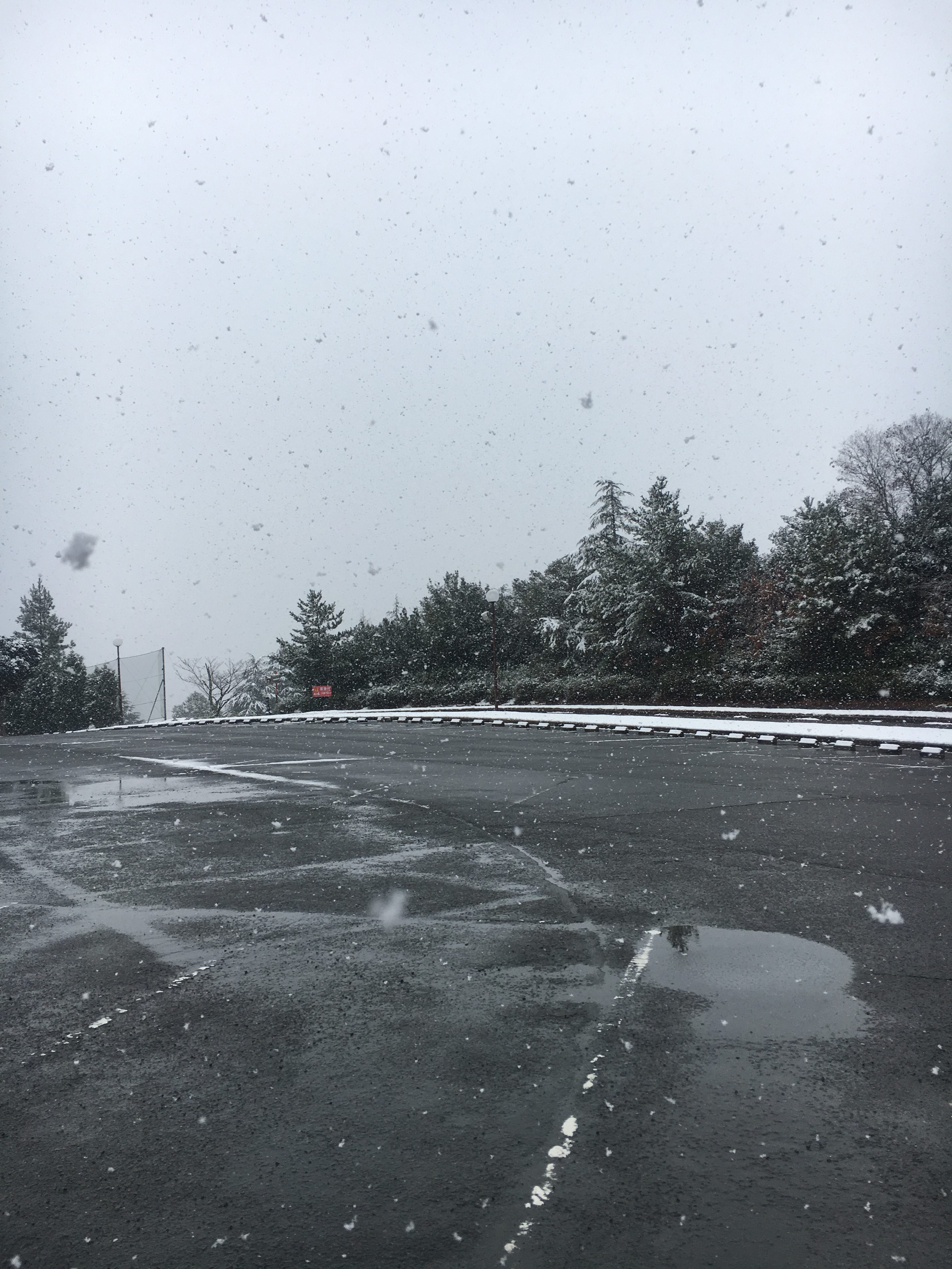 ゴルフ場にて